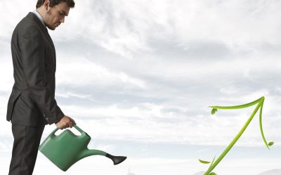 Can new Entrepreneurs thrive in the Insurance Industry?