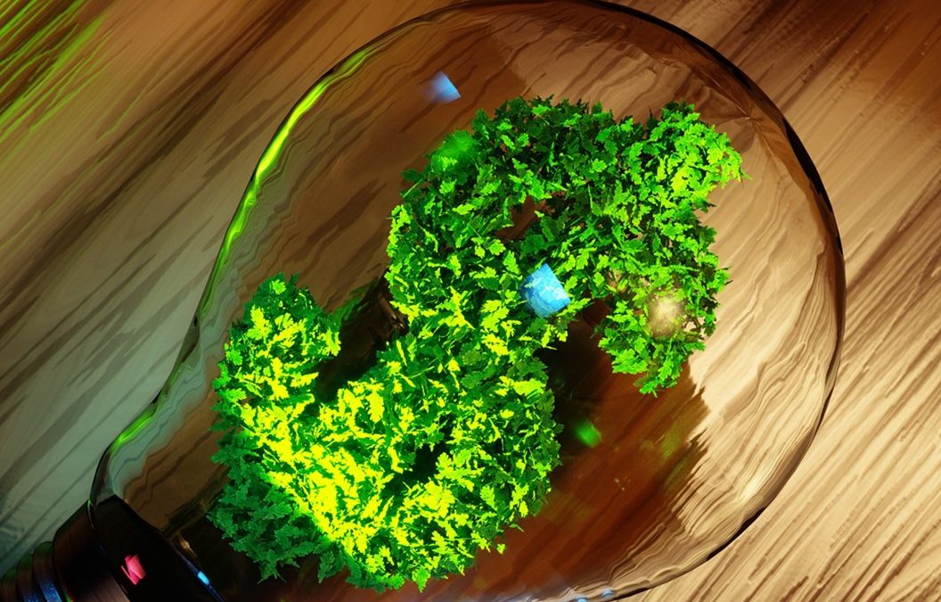 What You Need to Know About the Guardian Fund