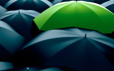 Festive Break – Trading Times!