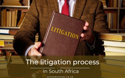 The litigation process in South Africa