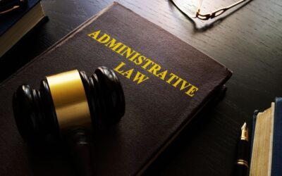 Grounds and avenues of review in administrative law: Understanding the rules and paths for scrutinising administrative action