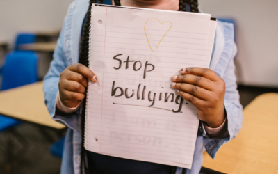 Addressing Bullying in South Africa: An Examination of Proposed Legislative Changes