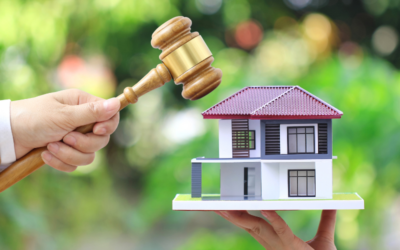 Rei Vindicatio in South African Law