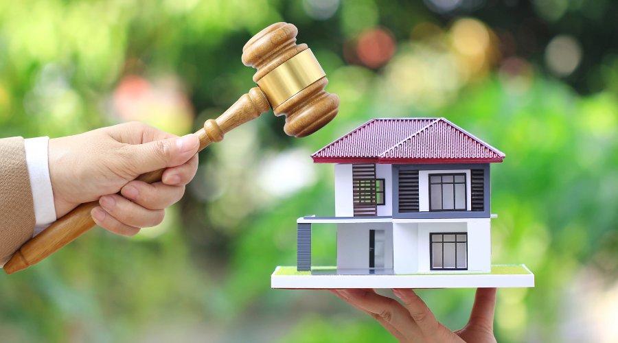 Rei Vindicatio in South African Law