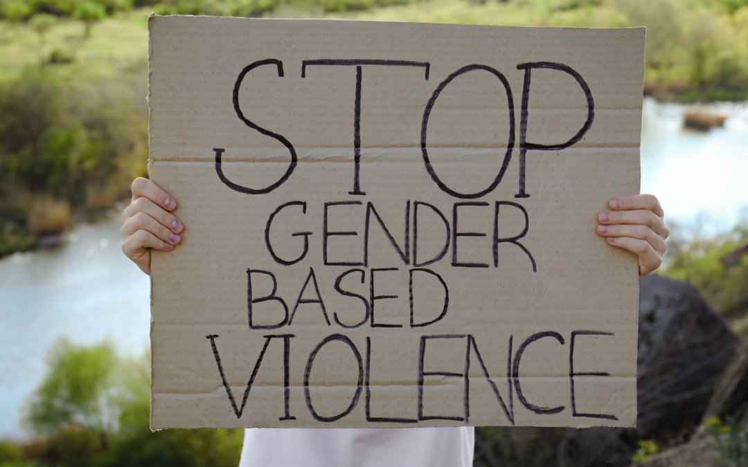 Human Rights Practices and Gender-Based Violence in South Africa: A Legal Perspective