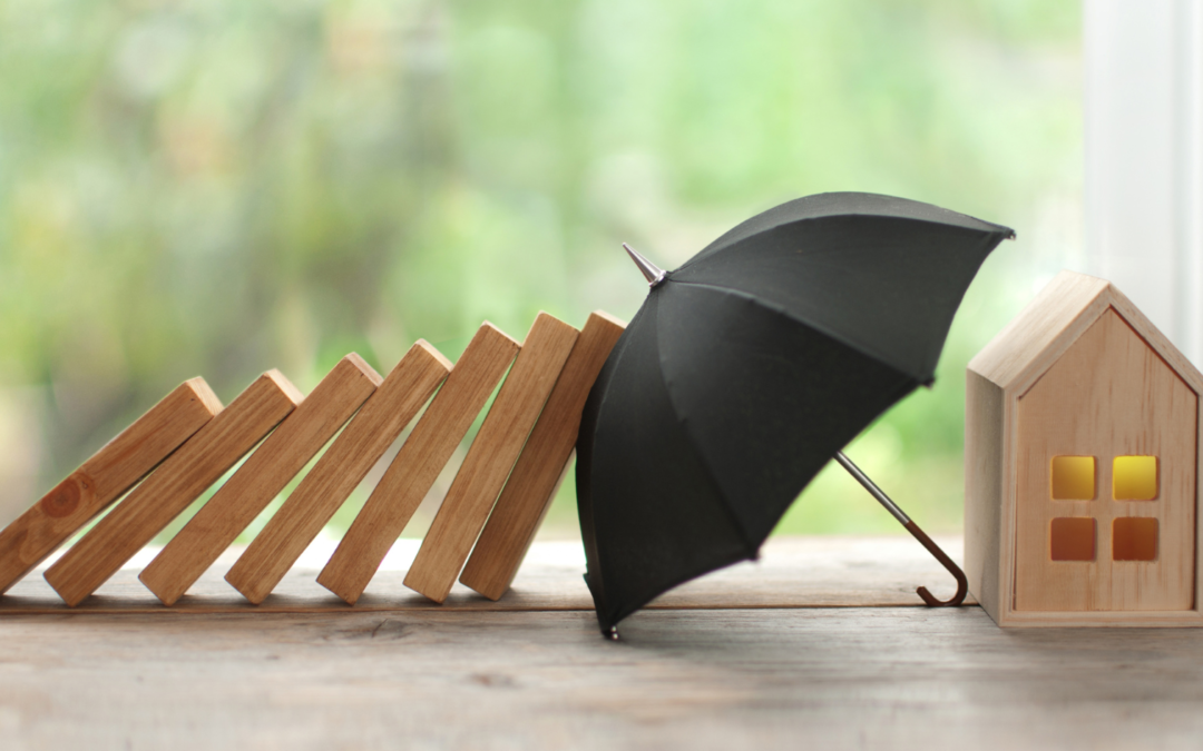 The Importance of Pre-Emptive Rights in Private Companies