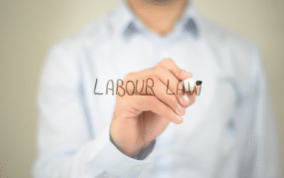 Navigating Complexity: Holistic Labour Law Solutions for South African Employers