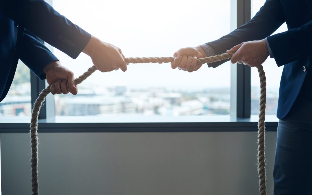 When Co-Ownership Becomes Unworkable: The Actio Communi Dividundo in South African Law